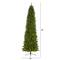 10ft. Pre-Lit Green Mountain Pine Artificial Christmas Tree, Clear LED Lights
